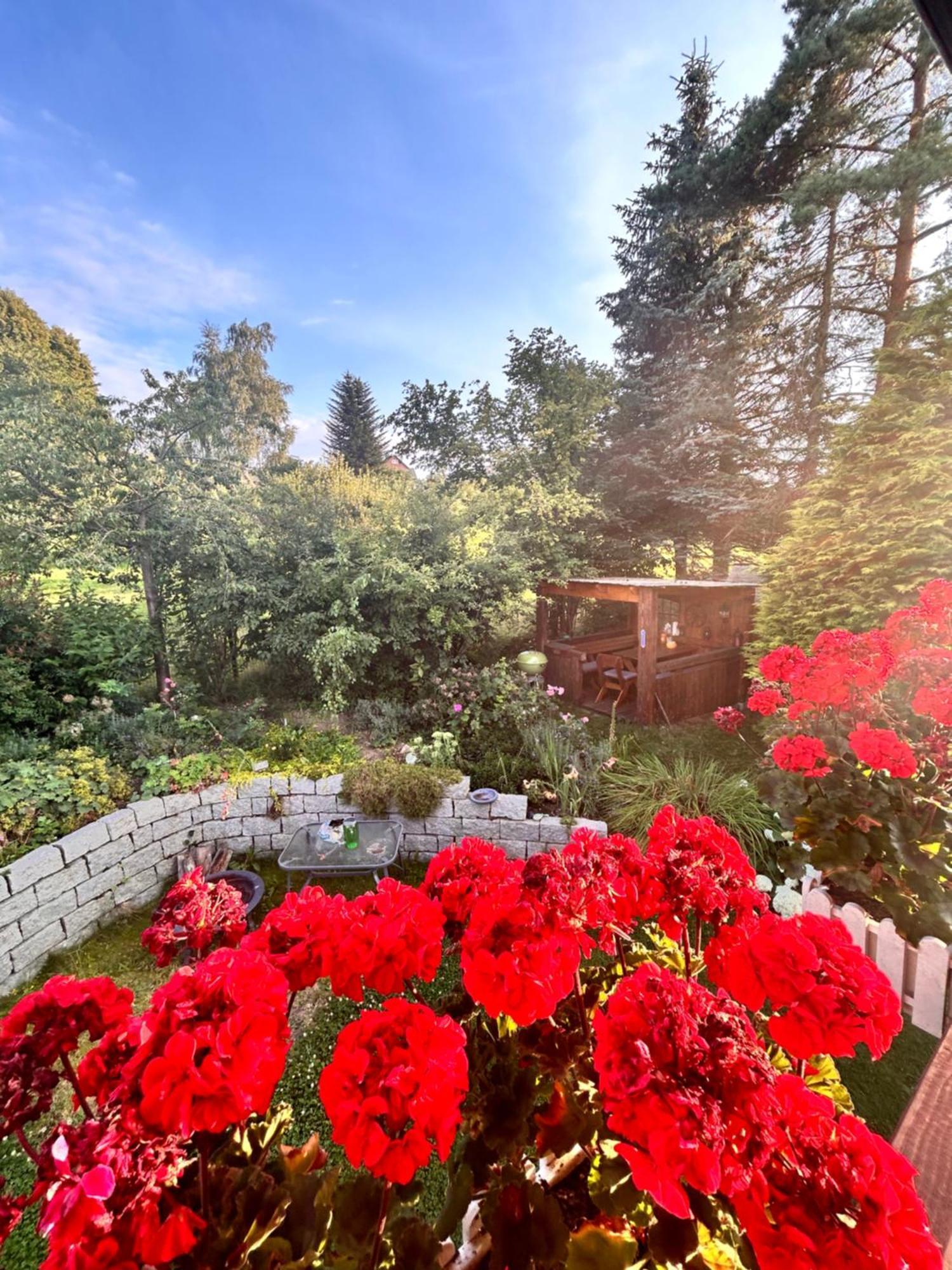 Ferienwohnung Mit Gartennutzung, Garage Und Wallbox Ebersbach-Neugersdorf Εξωτερικό φωτογραφία